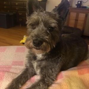 Meet your Posher, Deborah bowman